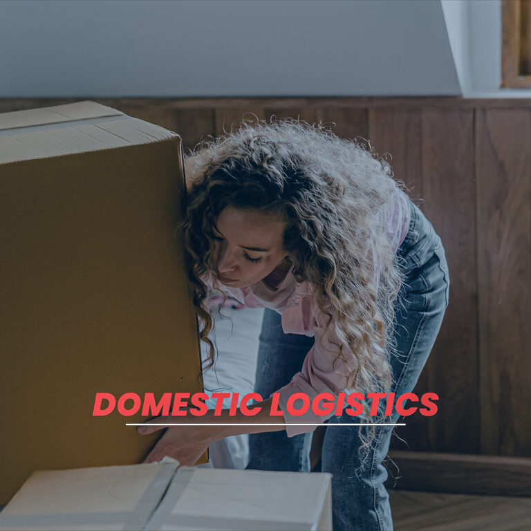 Domestic-logistics